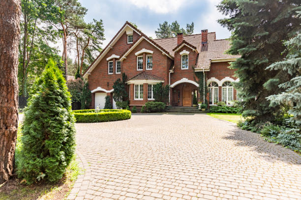 Best Professional Driveway Pavers  in Bridgeport, IL